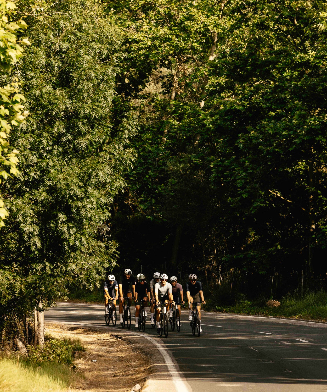 Group of cyclists riding on a road surrounded by trees