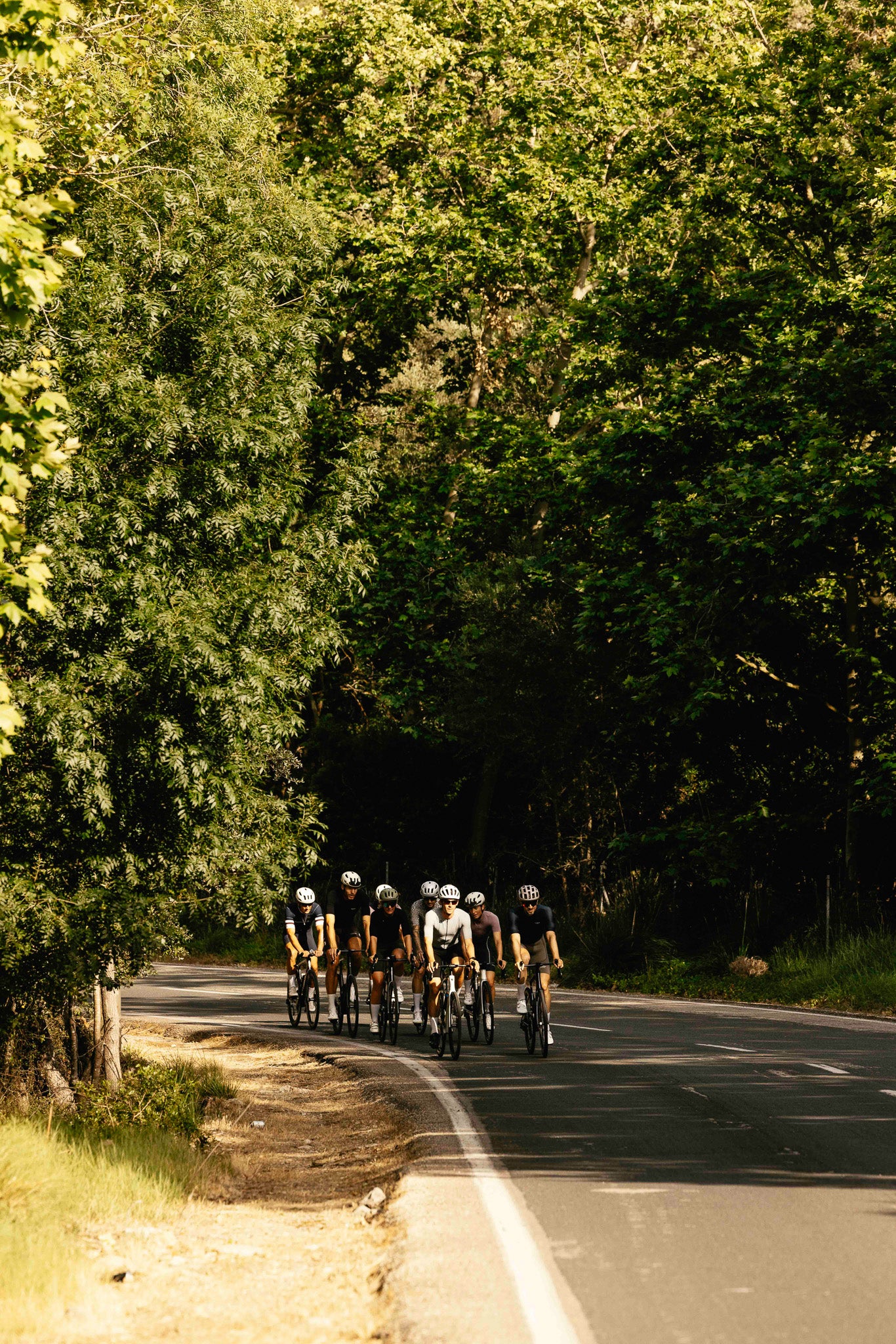 Group of cyclists riding on a road surrounded by trees