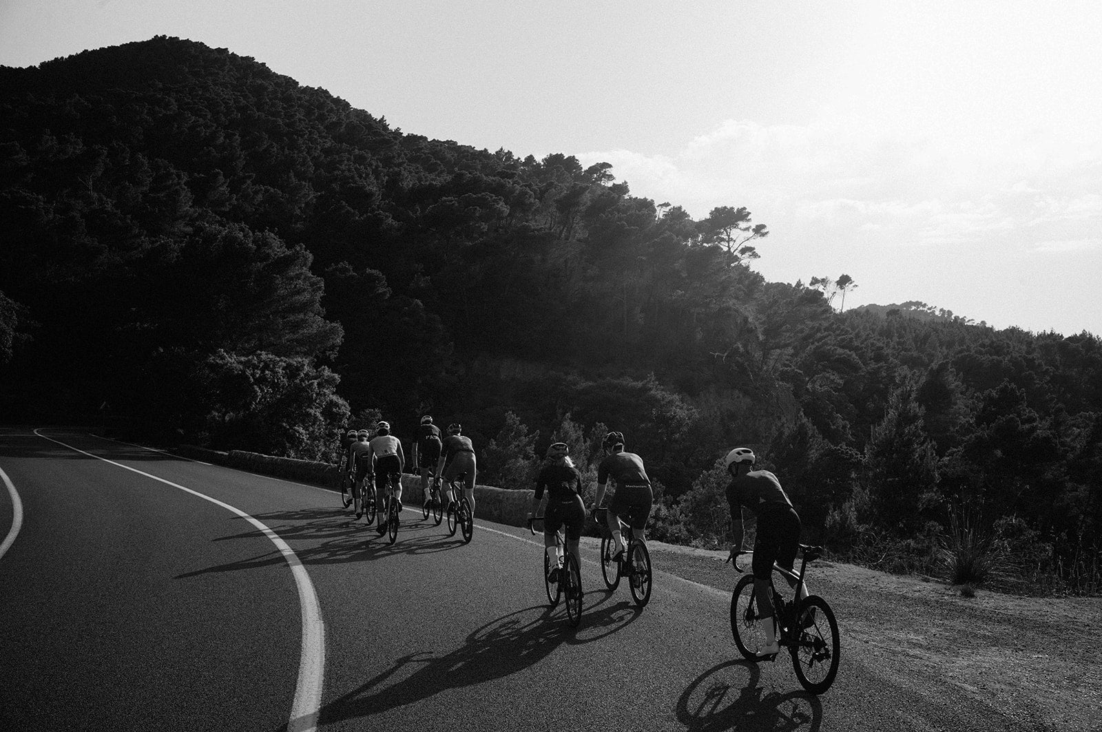 Group of cyclists riding on Mallorca surrounded by trees