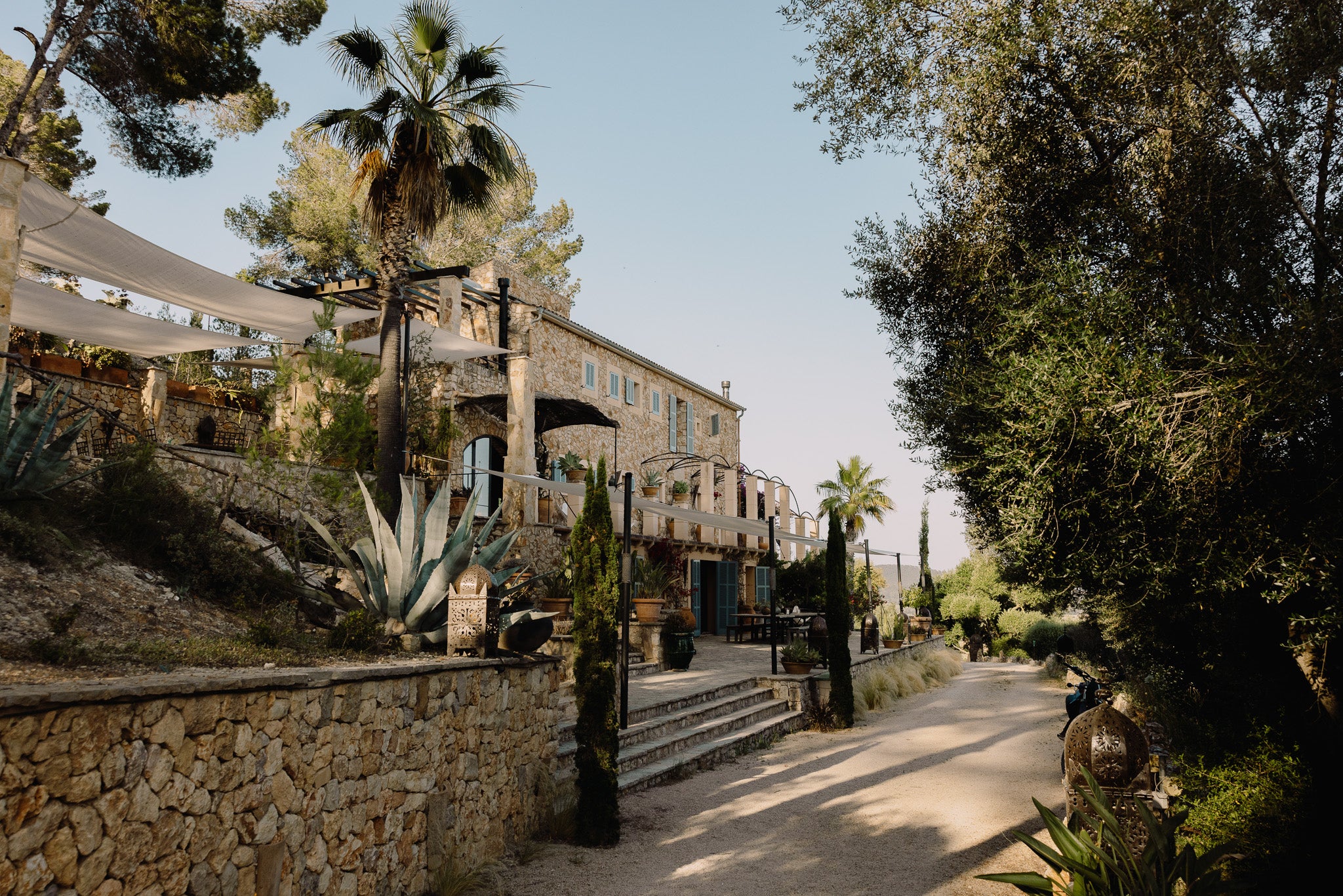 House with stone walls and palm trees in a Mediterranean setting