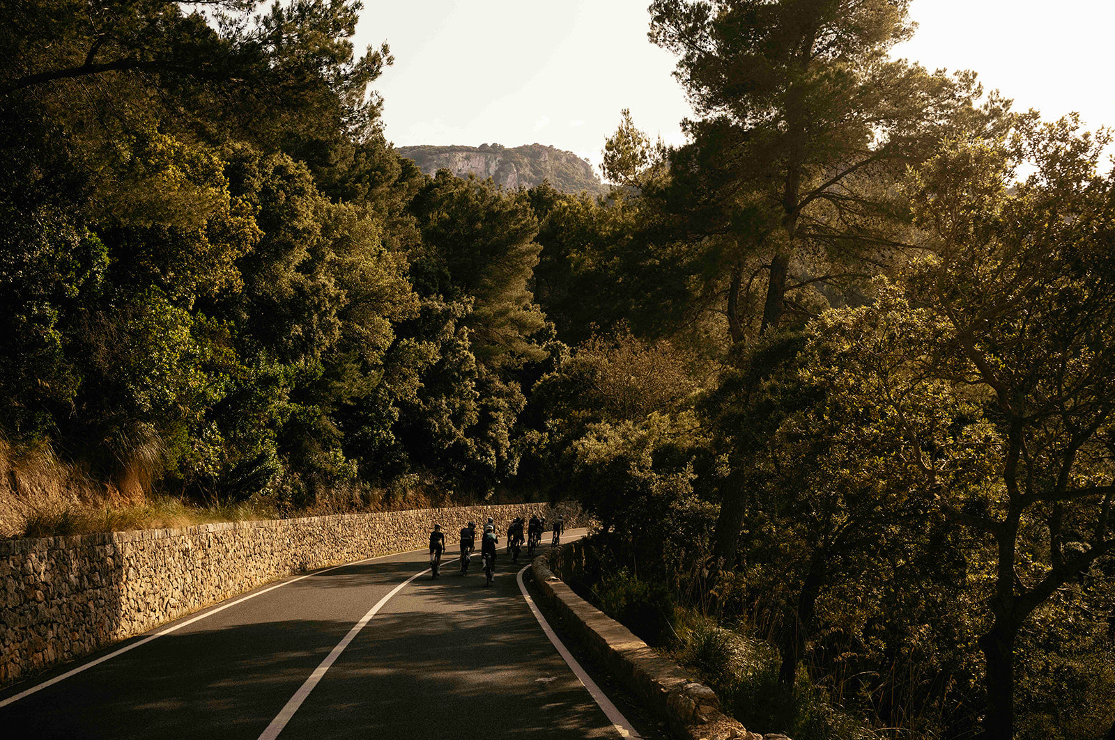 Winding road through a forest in Mallorca with people cycling on it, surrounded by trees and stone walls.